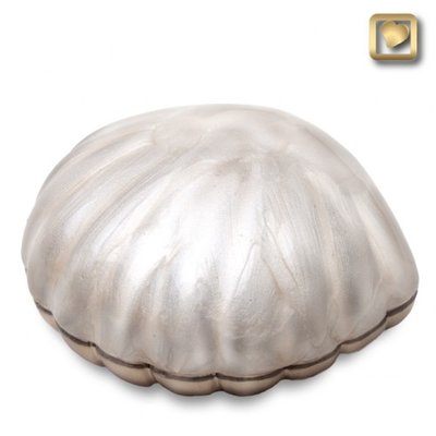 Simplicity Pearl Shell