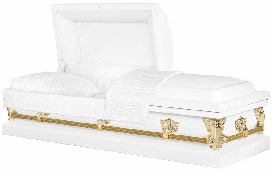 The Sentry White on White